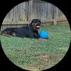 rocsfind